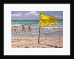 Yellow Flag, Barbados, 2010 by Andrew Macara
