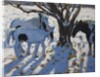 Skewbald Ponies in Winter, 2012 by Andrew Macara