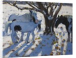 Skewbald Ponies in Winter, 2012 by Andrew Macara