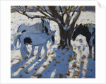 Skewbald Ponies in Winter, 2012 by Andrew Macara
