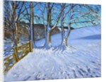 Gate and trees, Winter, Dam Lane, Derbyshire, 2013 by Andrew Macara