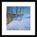 Gate and trees, Winter, Dam Lane, Derbyshire, 2013 by Andrew Macara