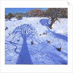 Chatsworth, winter tree shadows, 2013 by Andrew Macara