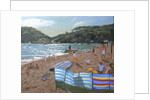 Cricket, Teignmouth, 2012 by Andrew Macara