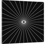 Big Brother 1, 2018 by Florent Bodart