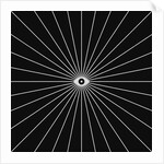 Big Brother 1, 2018 by Florent Bodart