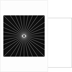 Big Brother 1, 2018 by Florent Bodart