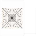 Big Brother 2, 2018 by Florent Bodart