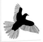 Bird Line Art, 2016 by Florent Bodart