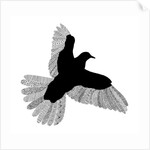 Bird Line Art, 2016 by Florent Bodart