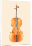 Cello, 2018 by Florent Bodart