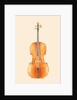 Cello, 2018 by Florent Bodart