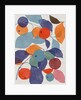 Printed Apples, 2018 by Jenny Frean