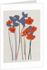Printed Poppies, 2018 by Jenny Frean