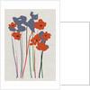Printed Poppies, 2018 by Jenny Frean