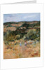 Landscape near Siena, 1994 by Ann Patrick