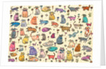52 Cats, 2017 by Sarah Battle