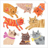 Cats,Cats Cats, 2018 by Sarah Battle