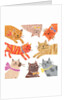 Cats,Cats Cats, 2018 by Sarah Battle