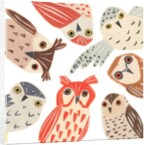 A Parliament Of Owls, 2018 by Sarah Battle