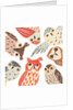 A Parliament Of Owls, 2018 by Sarah Battle