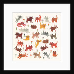 Tiny kittens, 2010 by Sarah Battle