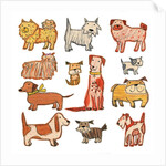 woof x 13, 2017 by Sarah Battle