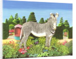 Zebra in a Garden, 1977 by Anthony Southcombe