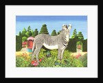 Zebra in a Garden, 1977 by Anthony Southcombe