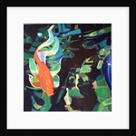 Goldfish, 2017 by Barbara Hoogeweegen