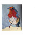 robin, 2016 by Barbara Hoogeweegen