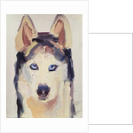 Wolf, 2016 by Barbara Hoogeweegen