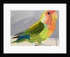 Lovebird, 2017 by Barbara Hoogeweegen