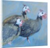 Guinea Fowl One, 2014 by Sheri Gee