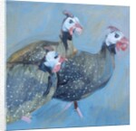 Guinea Fowl One, 2014 by Sheri Gee