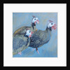 Guinea Fowl One, 2014 by Sheri Gee