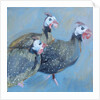 Guinea Fowl One, 2014 by Sheri Gee