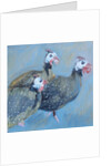 Guinea Fowl One, 2014 by Sheri Gee