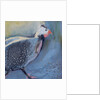 Guinea Fowl Four, 2014 by Sheri Gee