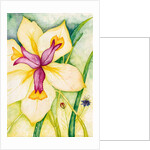 Lily and Friends, 2007 by Deborah Eve Alastra