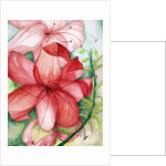 Tigerlily, 2007 by Deborah Eve Alastra