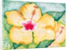 Yellow Hibiscus, 2006 by Deborah Eve Alastra
