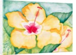 Yellow Hibiscus, 2006 by Deborah Eve Alastra