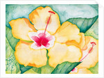 Yellow Hibiscus, 2006 by Deborah Eve Alastra