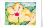 Yellow Hibiscus, 2006 by Deborah Eve Alastra