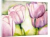 Lavender Tulips, 2006 by Deborah Eve Alastra