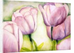 Lavender Tulips, 2006 by Deborah Eve Alastra