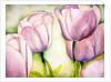 Lavender Tulips, 2006 by Deborah Eve Alastra
