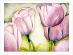 Lavender Tulips, 2006 by Deborah Eve Alastra