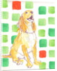 Doggy by Anna Platts